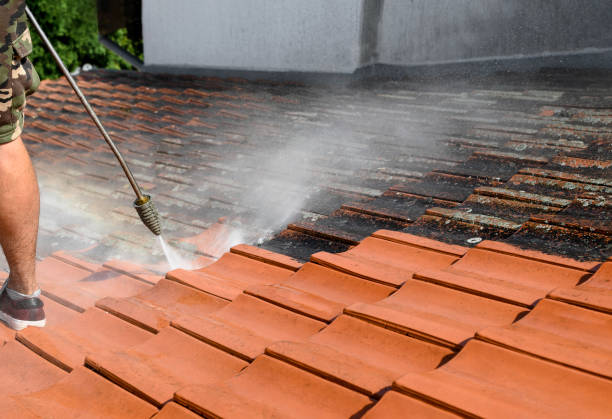 Best Garage Pressure Washing  in Cadiz, OH